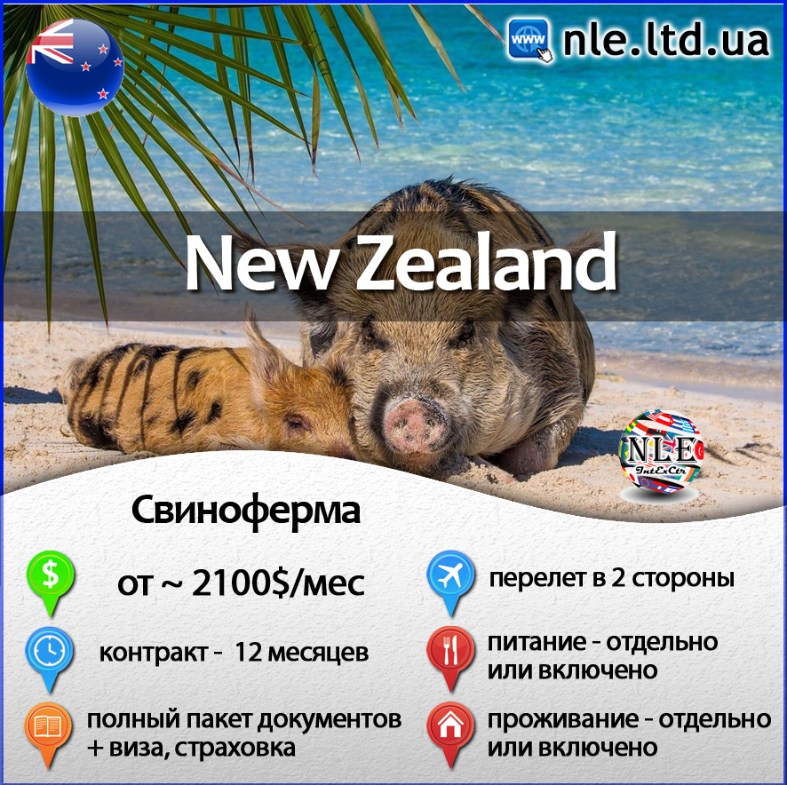 Описание изображения